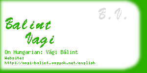 balint vagi business card
